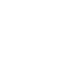 plast.png